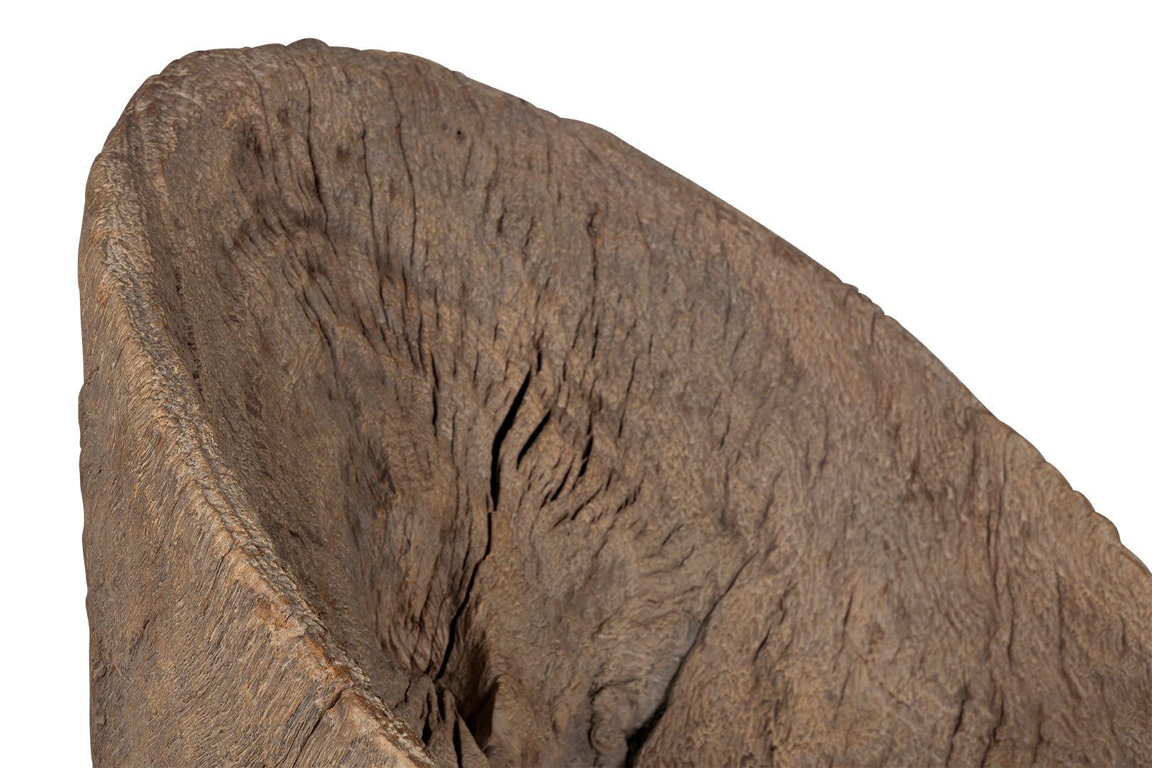 Organic Form Trunk Chair