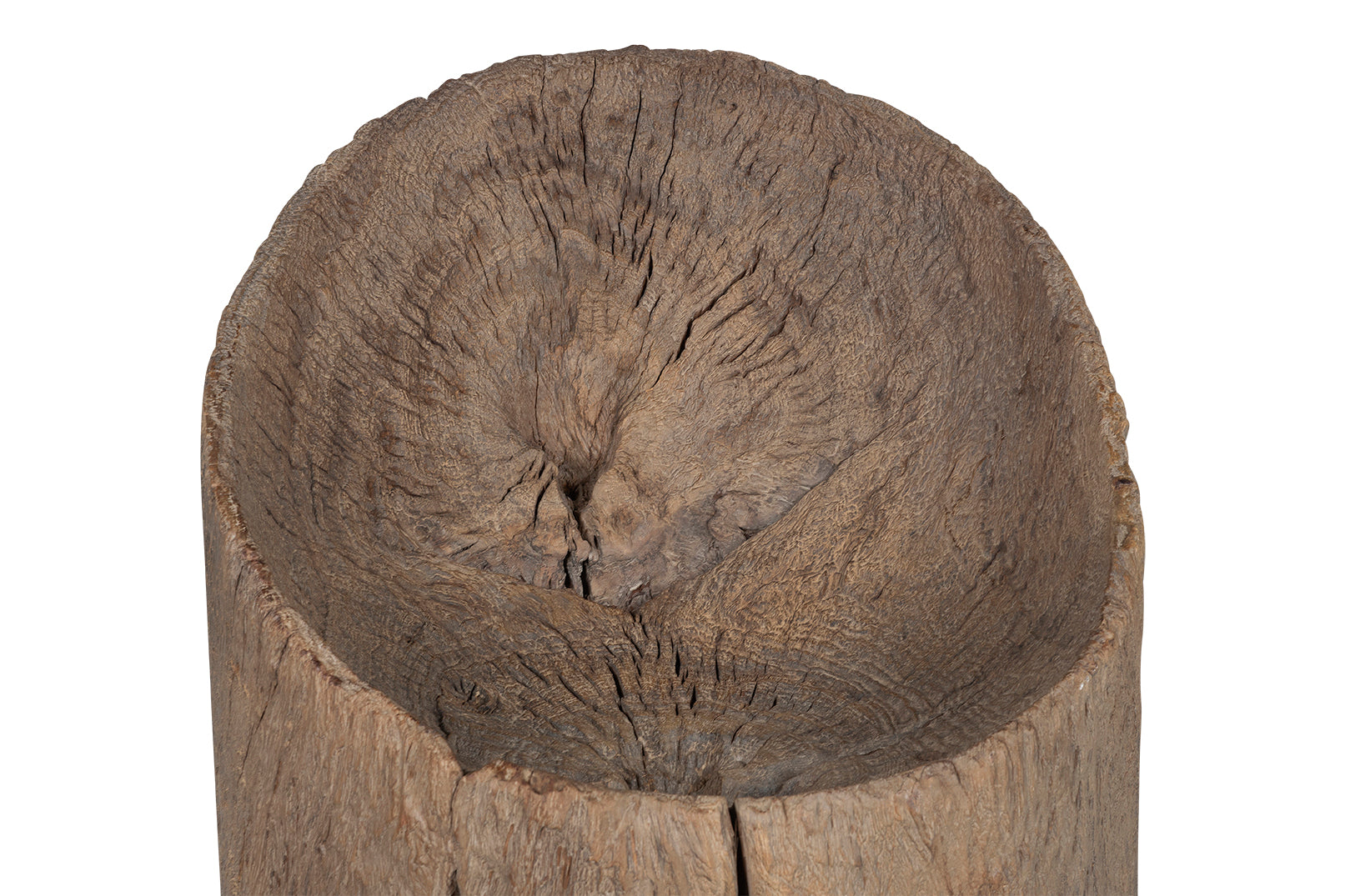 Organic Form Trunk Chair