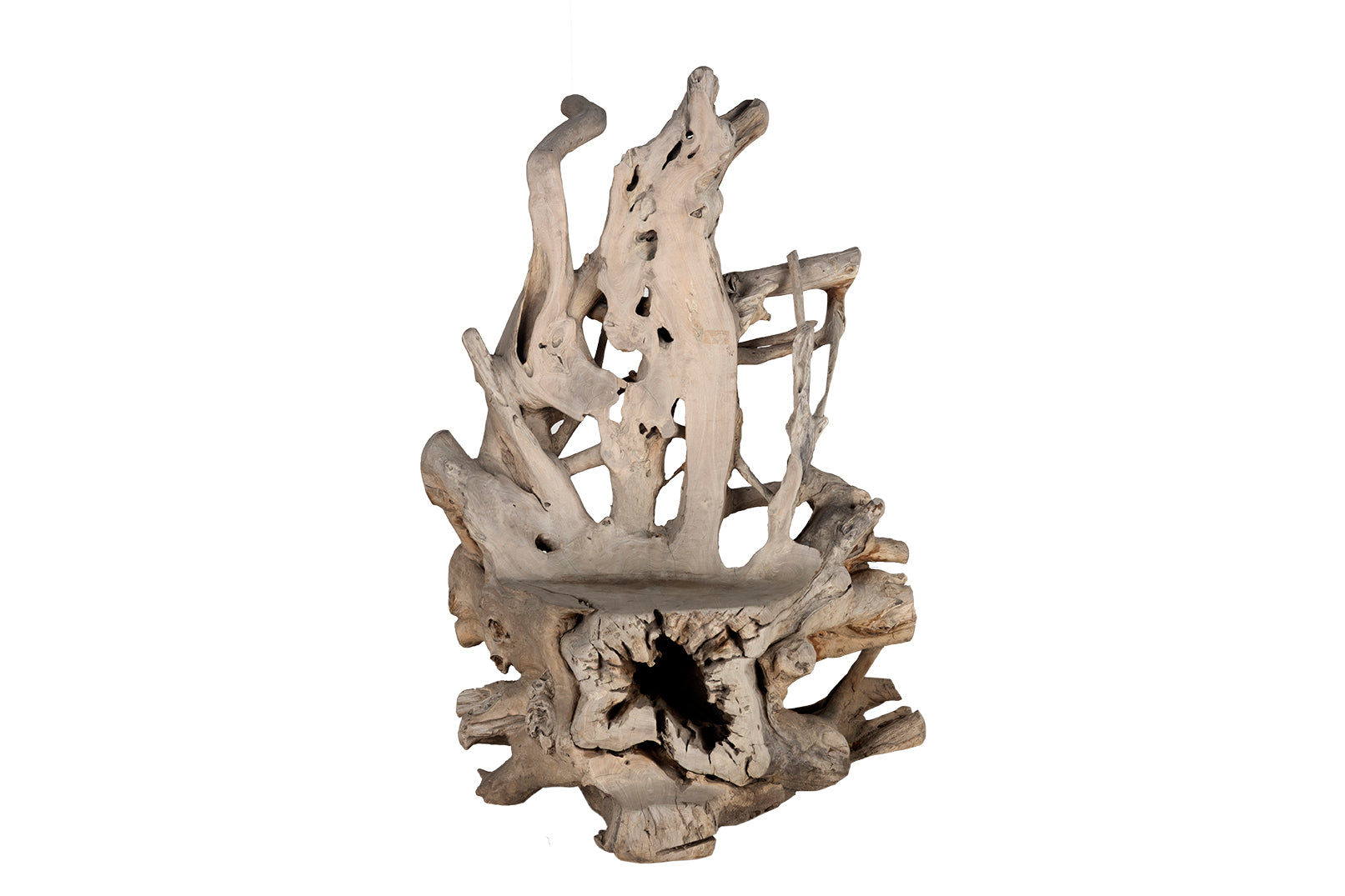 Organic Root Wood Form Outdoor Teak Chair