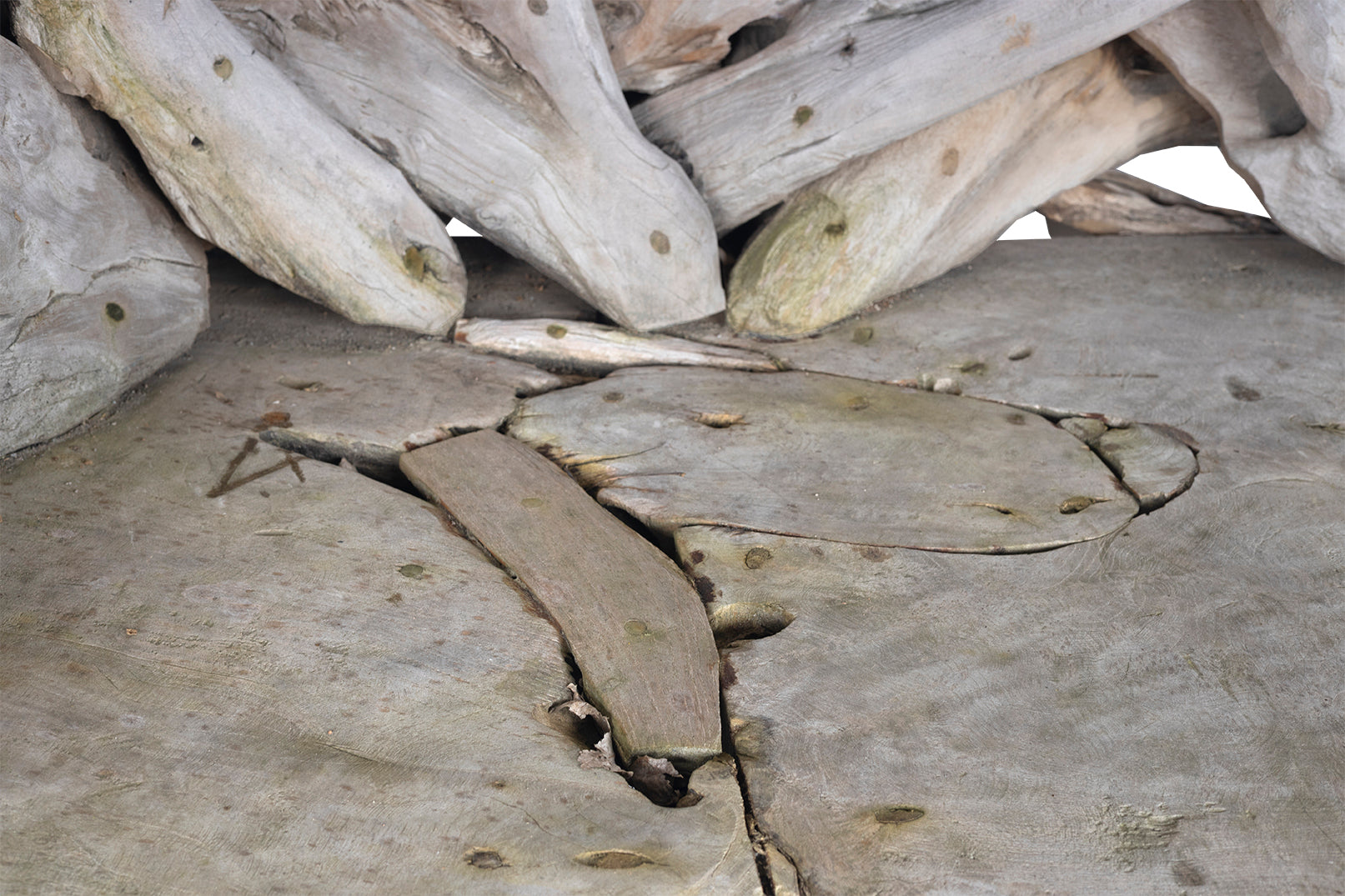 Monumental Teak Driftwood Bench