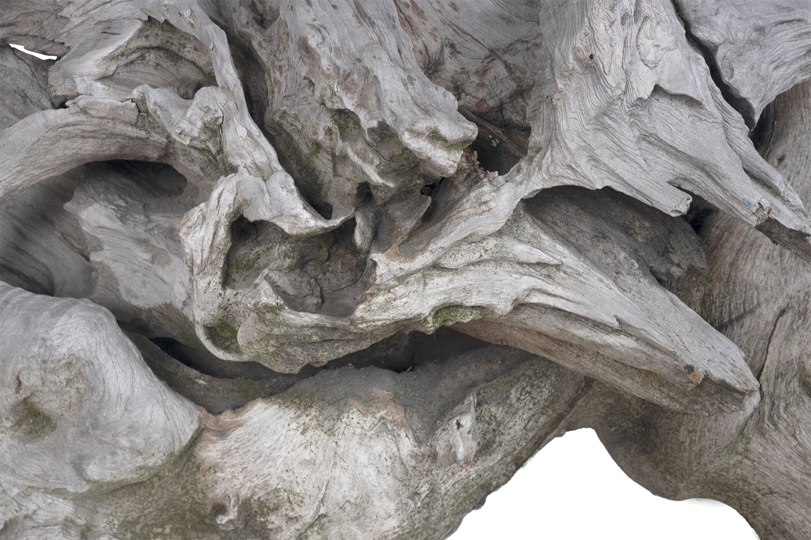 Teak Root Wood Garden Seat