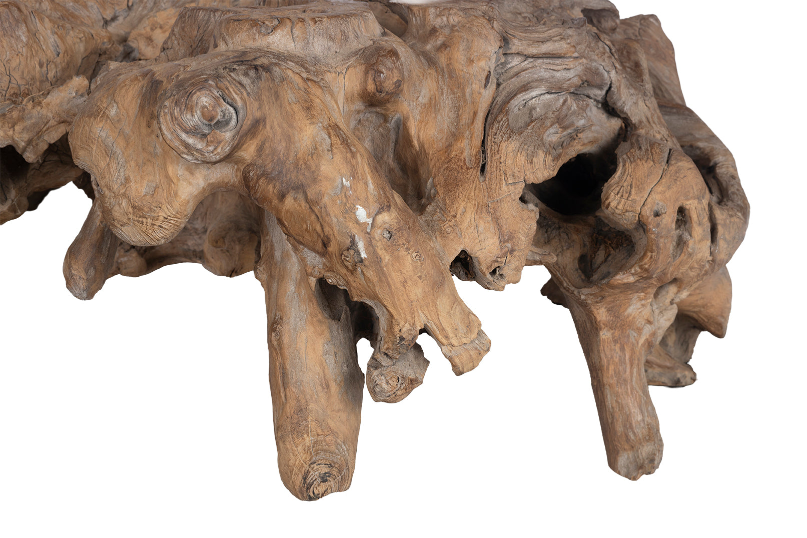 Monumental Organic Form Root Wood Coffee Table