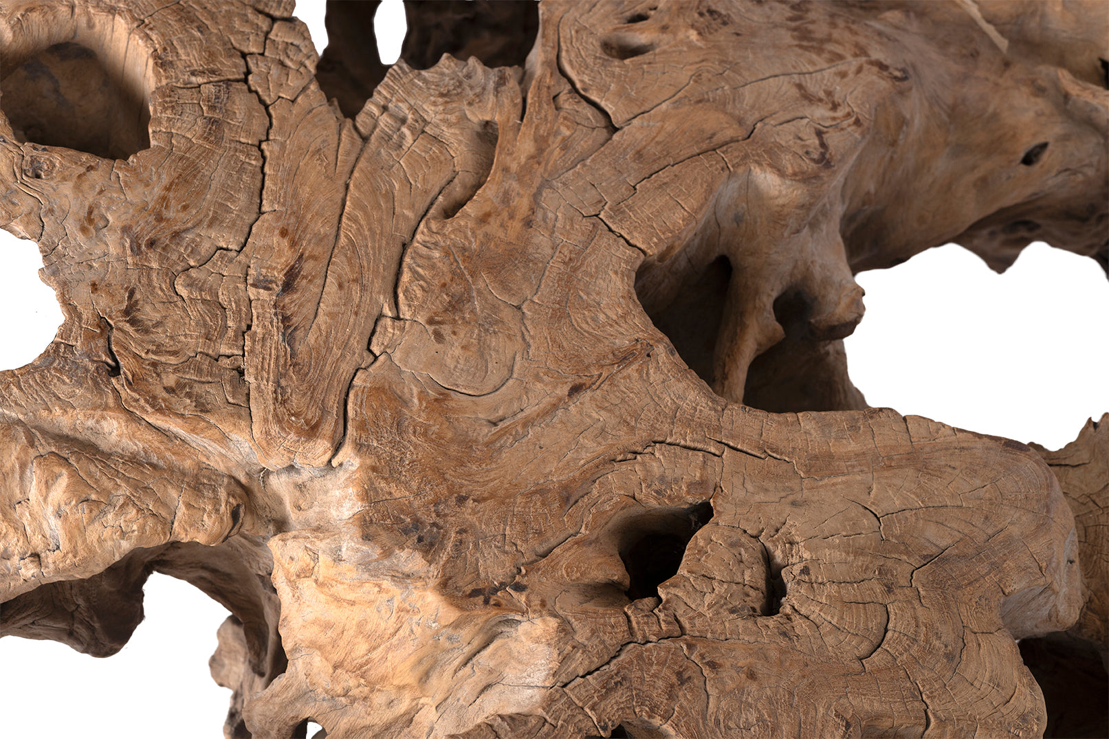 Monumental Organic Form Root Wood Coffee Table