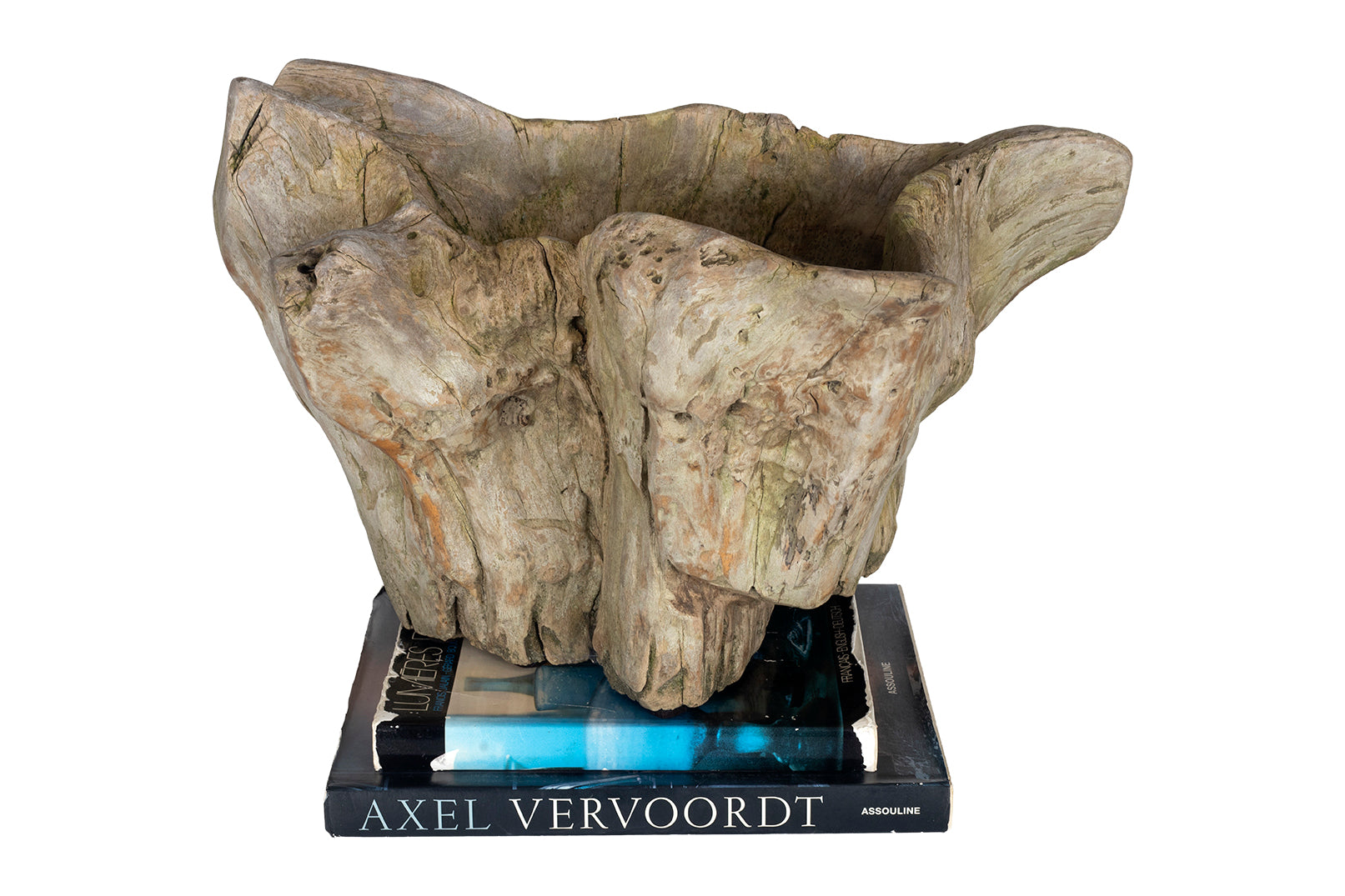 Organic Form Root Wood Bowl