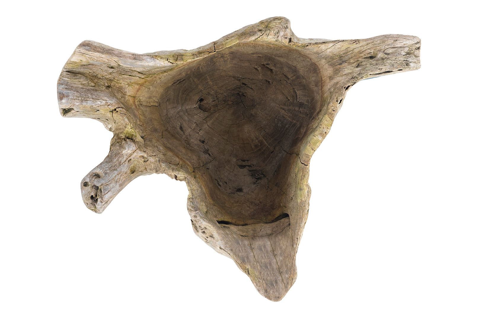 Organic Form Root Wood Bowl