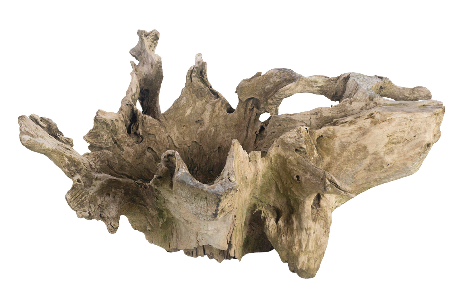 Organic Form Root Wood Bowl