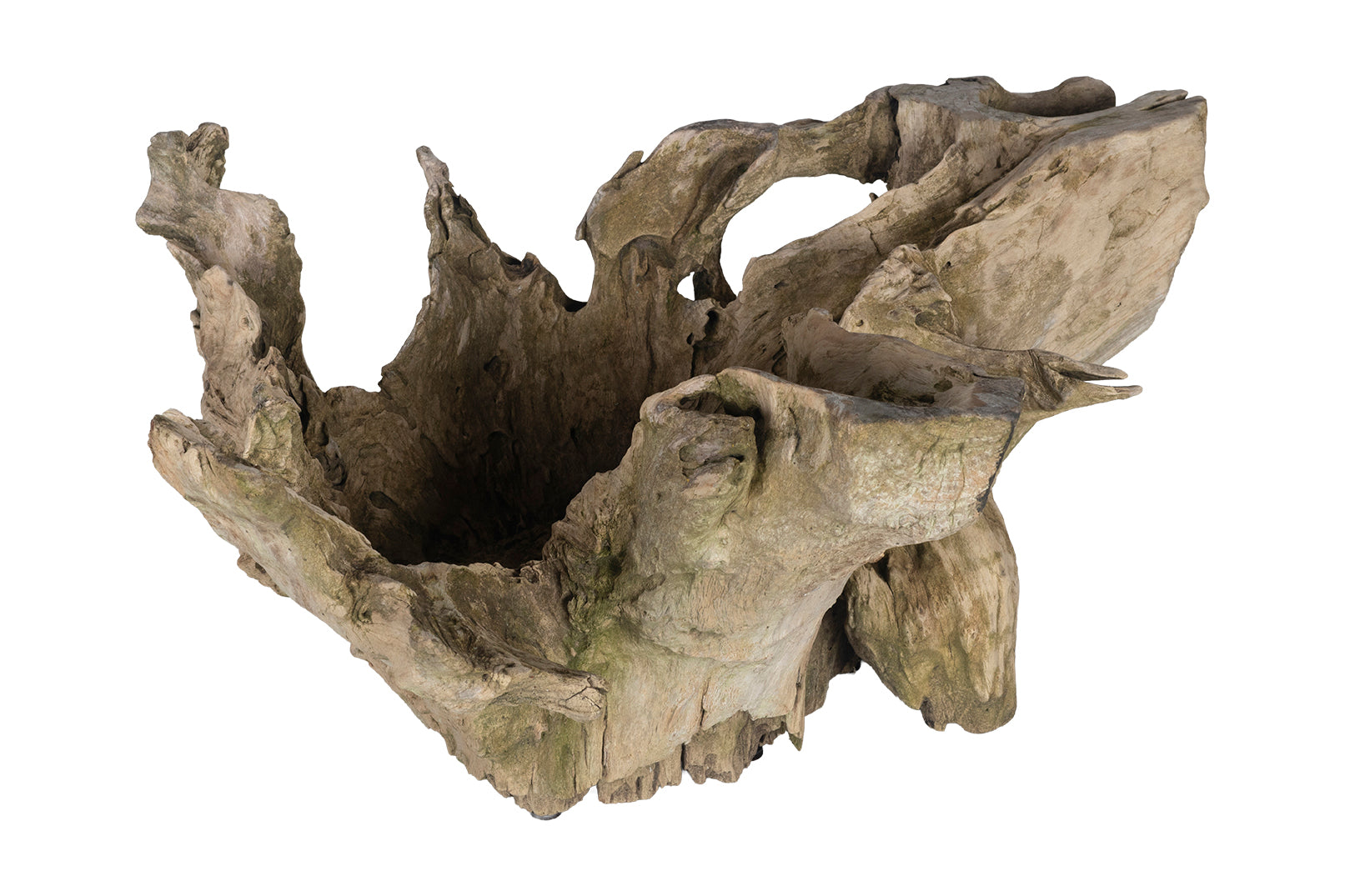 Organic Form Root Wood Bowl