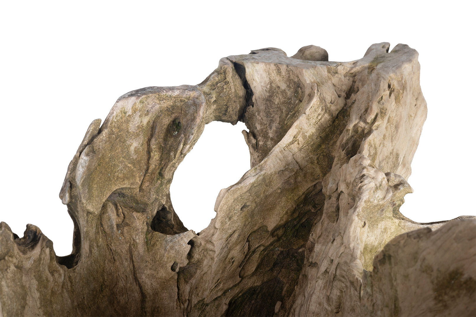 Organic Form Root Wood Bowl