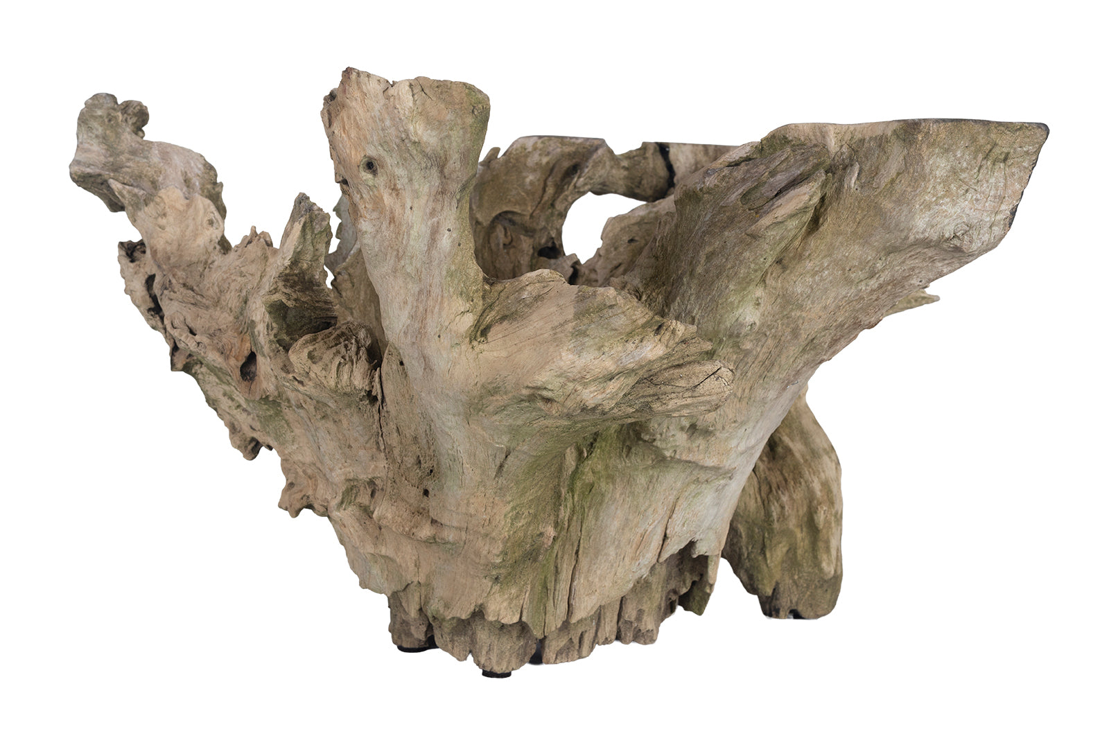 Organic Form Root Wood Bowl