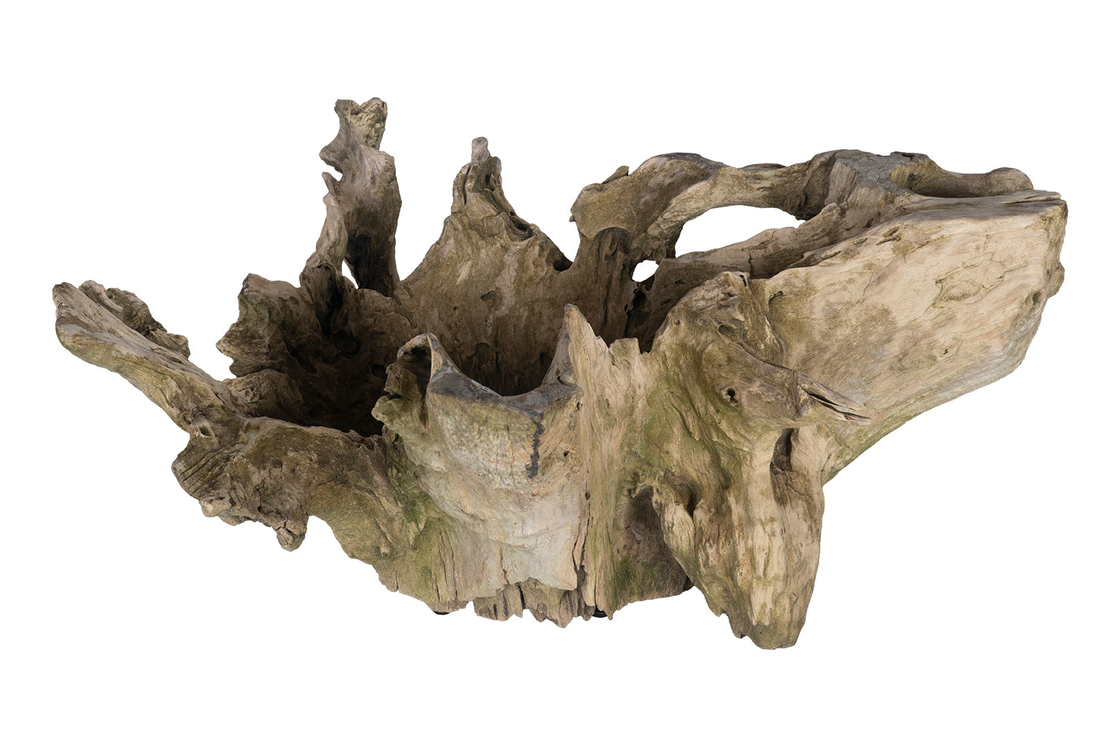Organic Form Root Wood Bowl