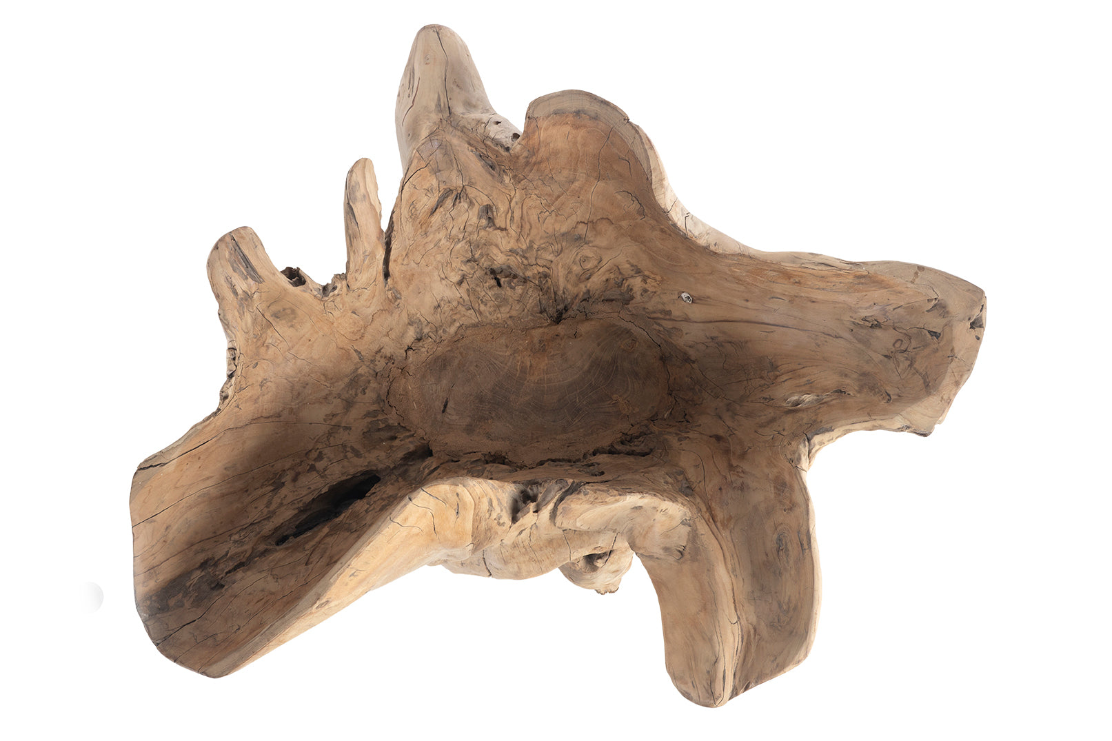 Organic Form Root Wood Bowl