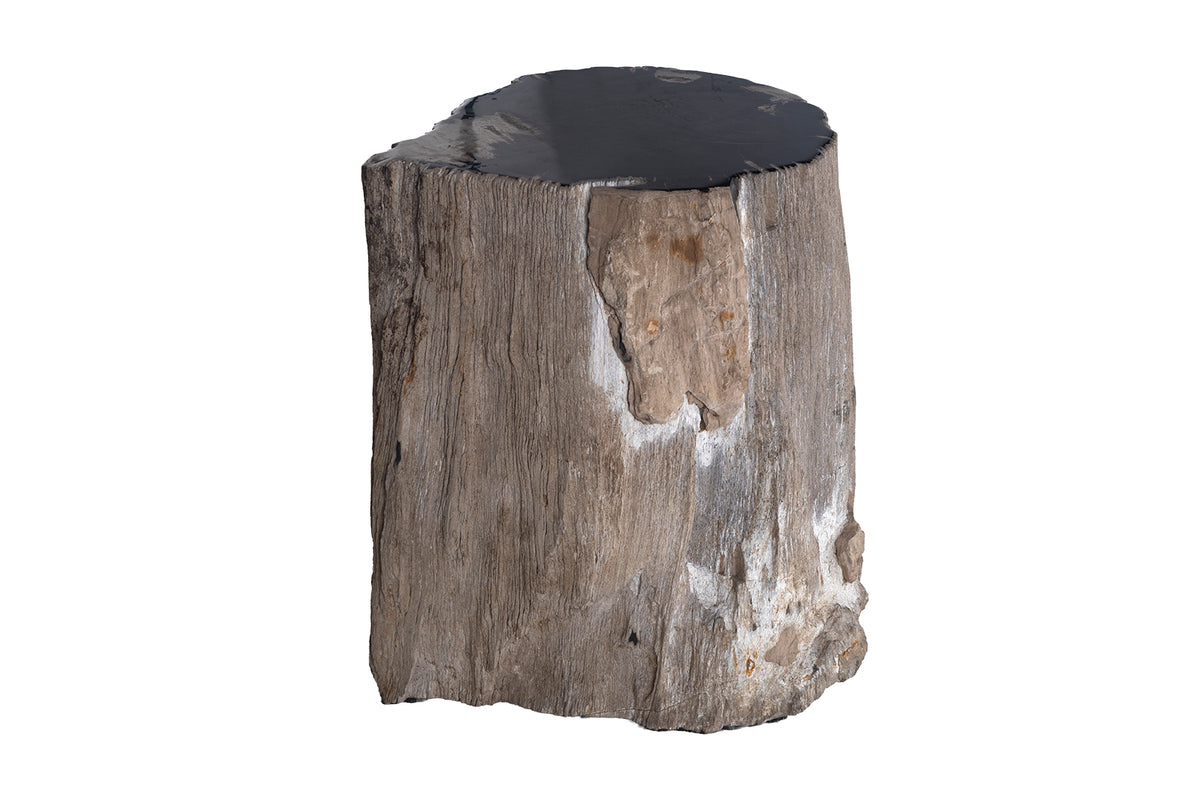 Petrified Wood Stump Side Table