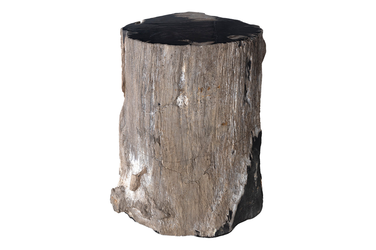 Petrified Wood Stump Side Table