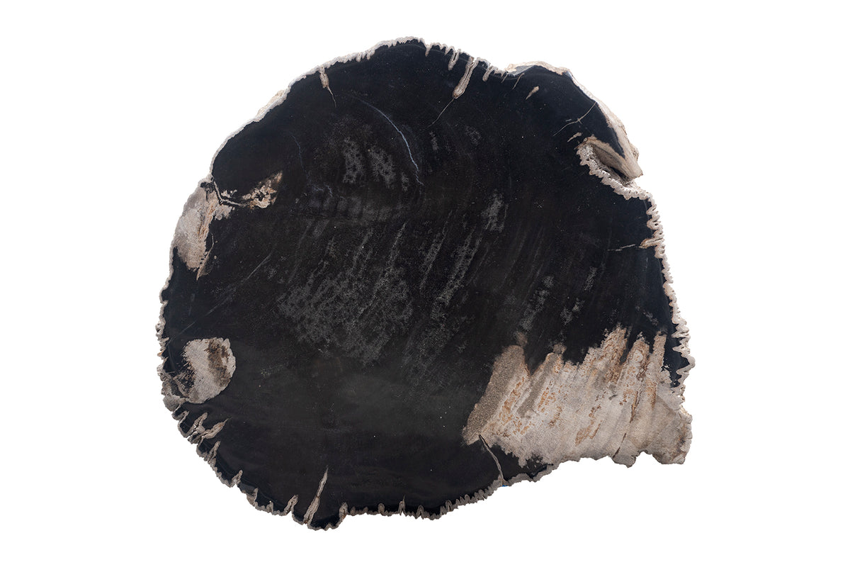 Petrified Wood Stump Side Table