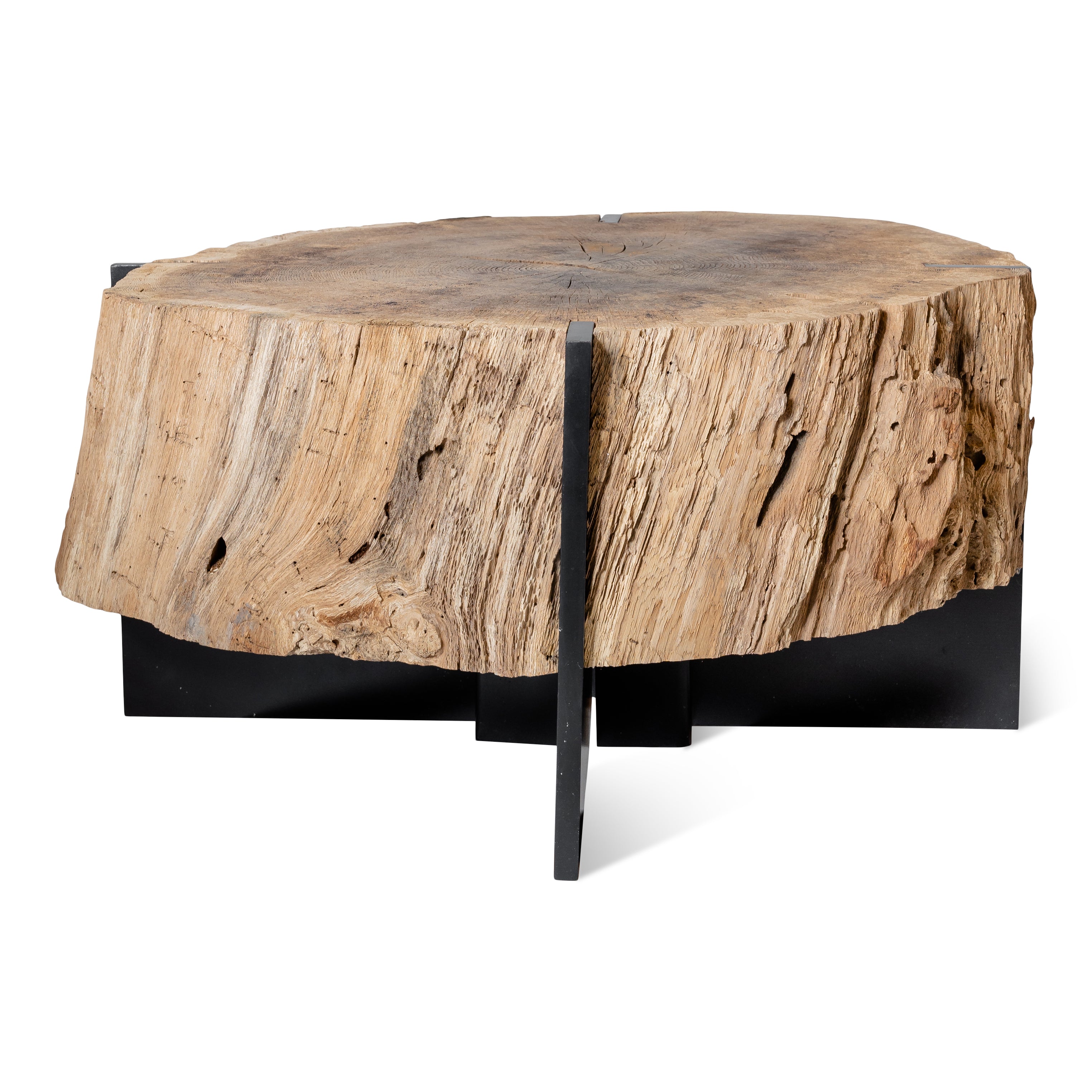 Organic Form Coffee Table from Medici Gardens