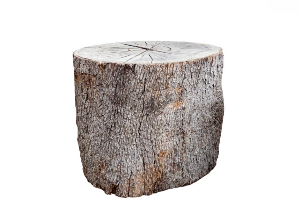 Wood Stump Base
