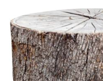 Wood Stump Base