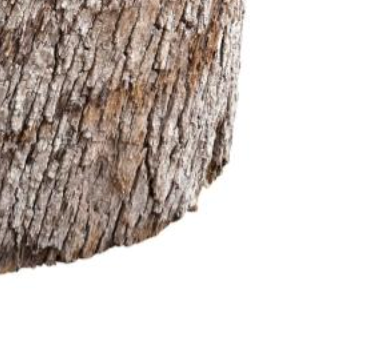 Wood Stump Base