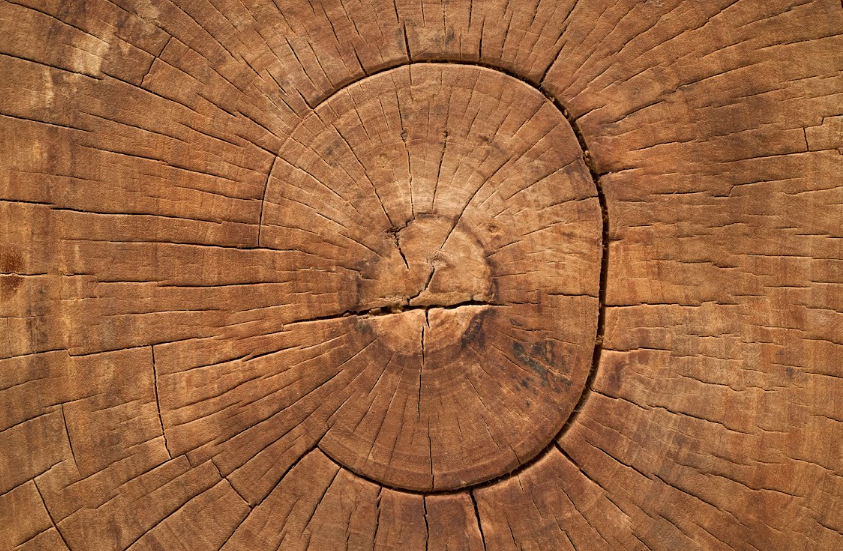 Bleached Lychee Wood Side Table