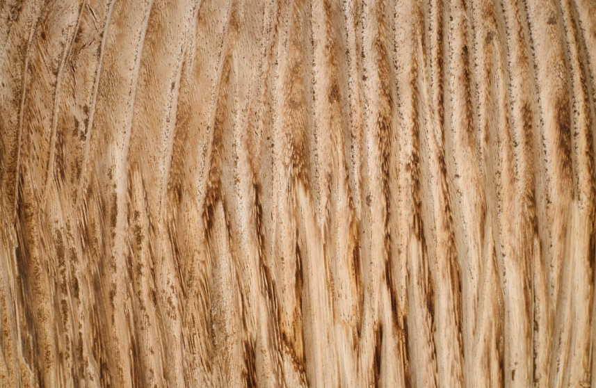 Carved Reclaimed Elm Blonde Round Side Table