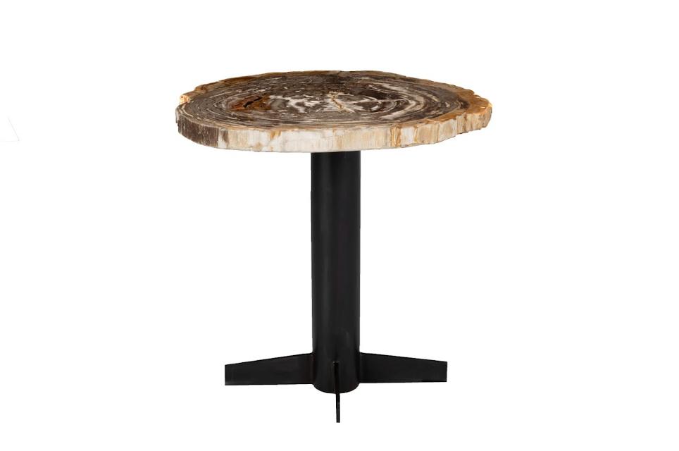 Petrified Wood Side Table