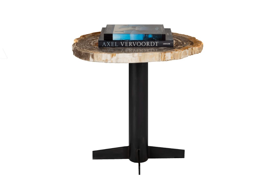 Petrified Wood Side Table