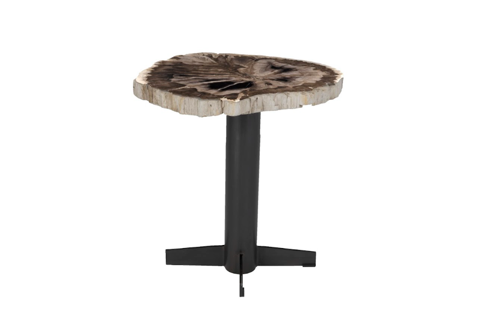 Petrified Wood Side Table