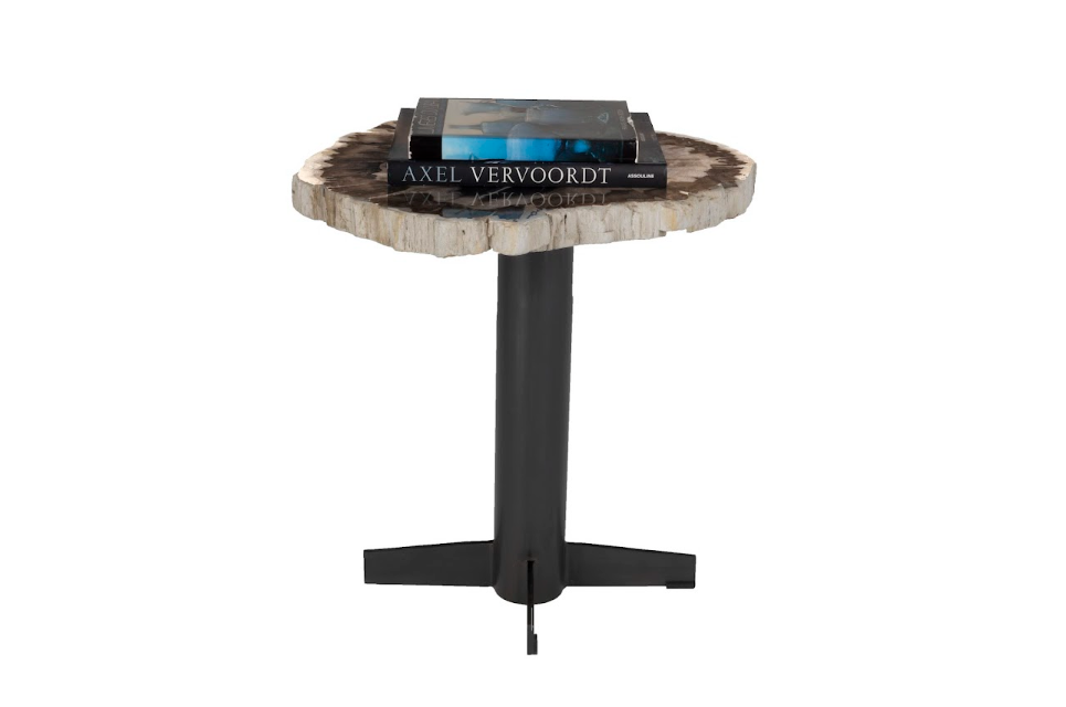 Petrified Wood Side Table