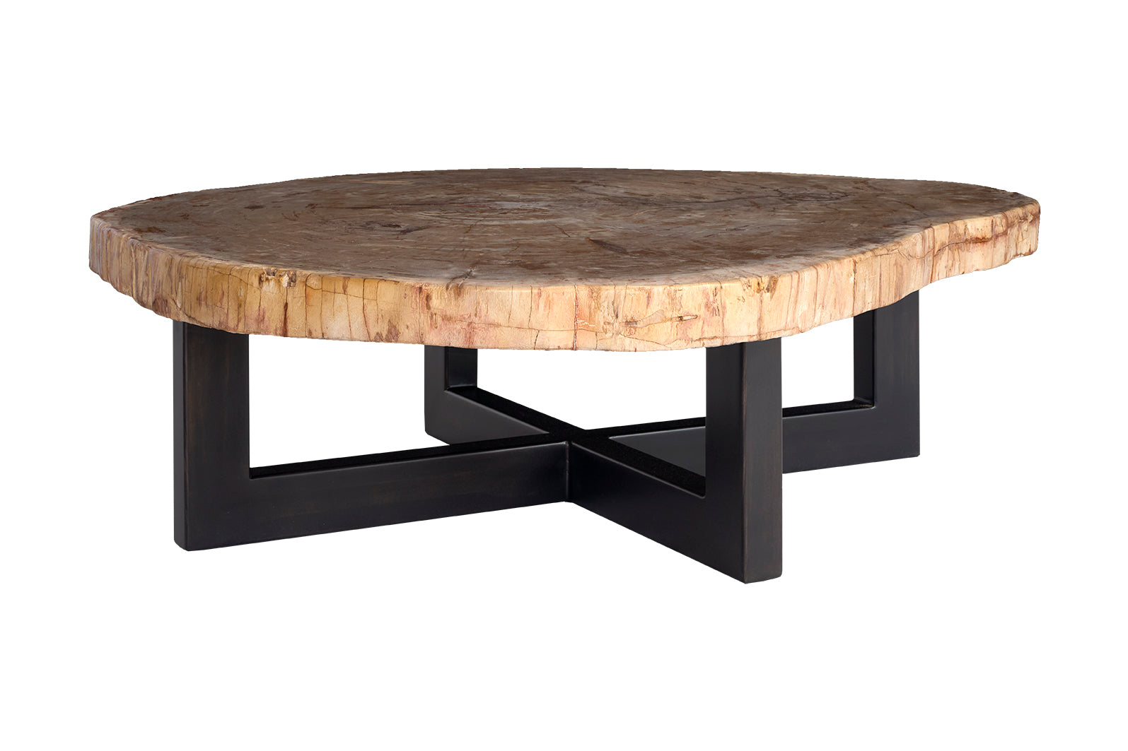 Petrified Wood Coffee Table