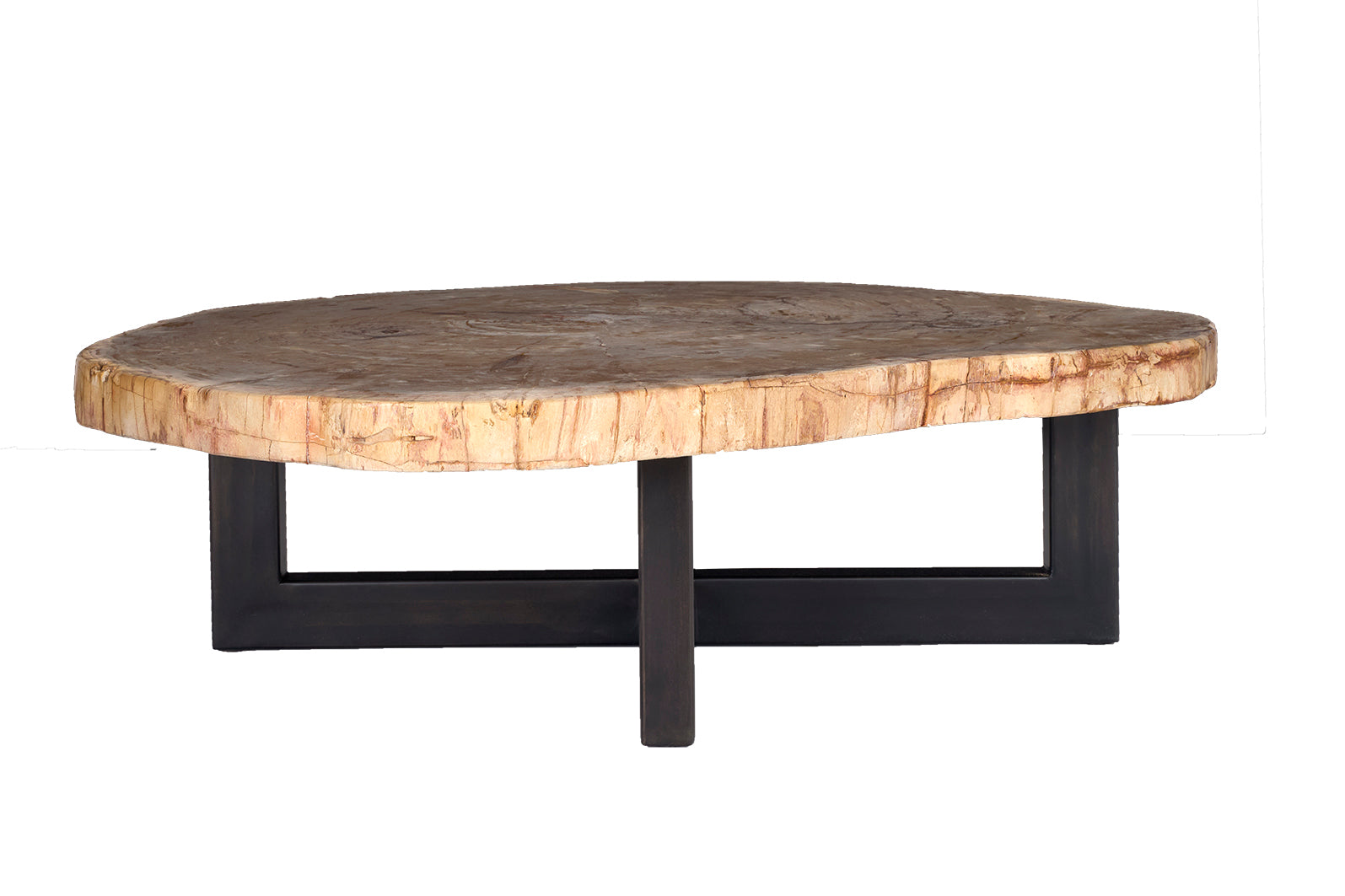 Petrified Wood Coffee Table