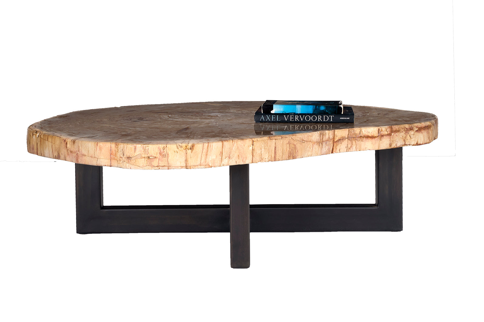 Petrified Wood Coffee Table
