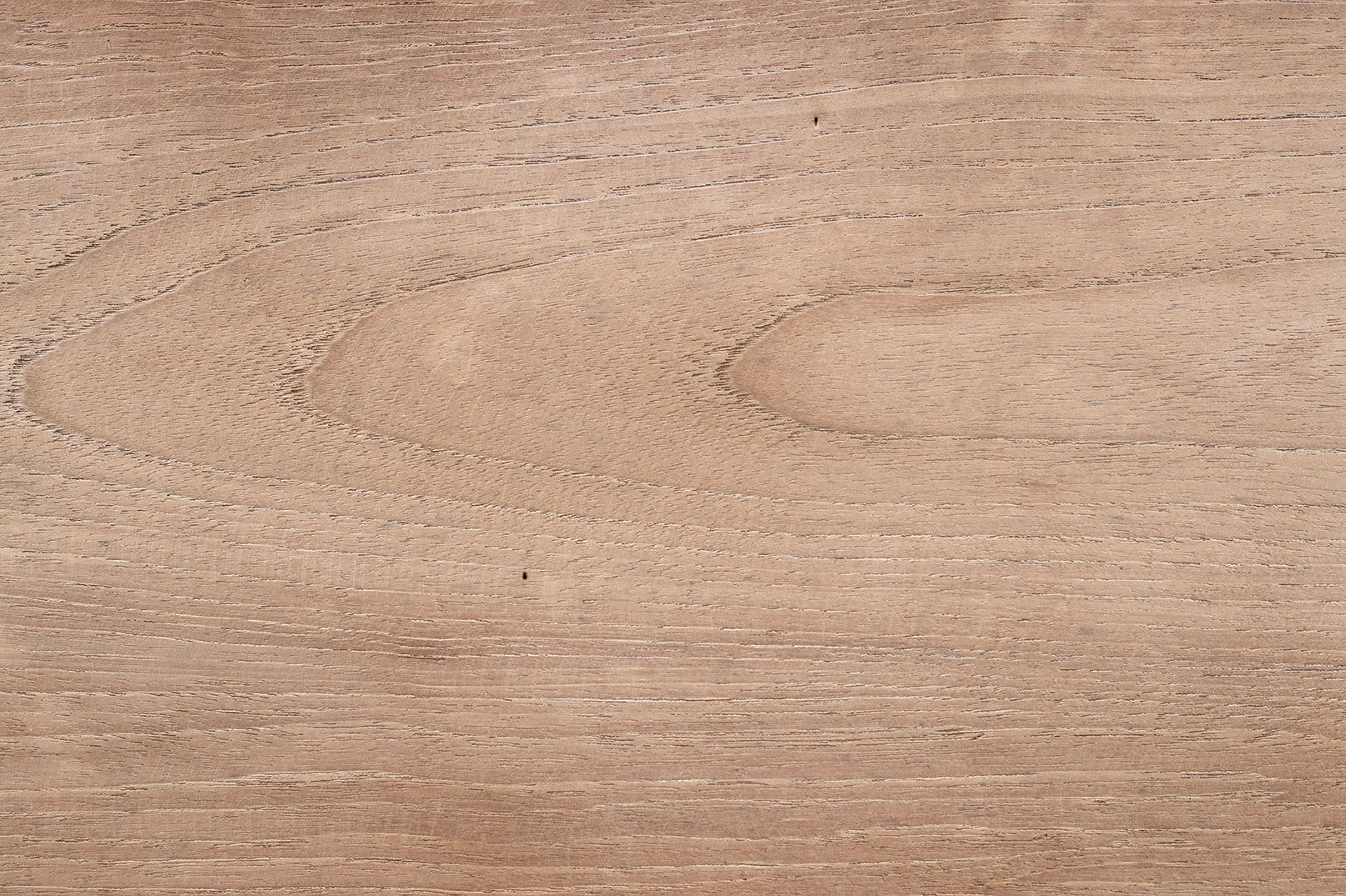 Organic Form Lychee Wood Coffee Table