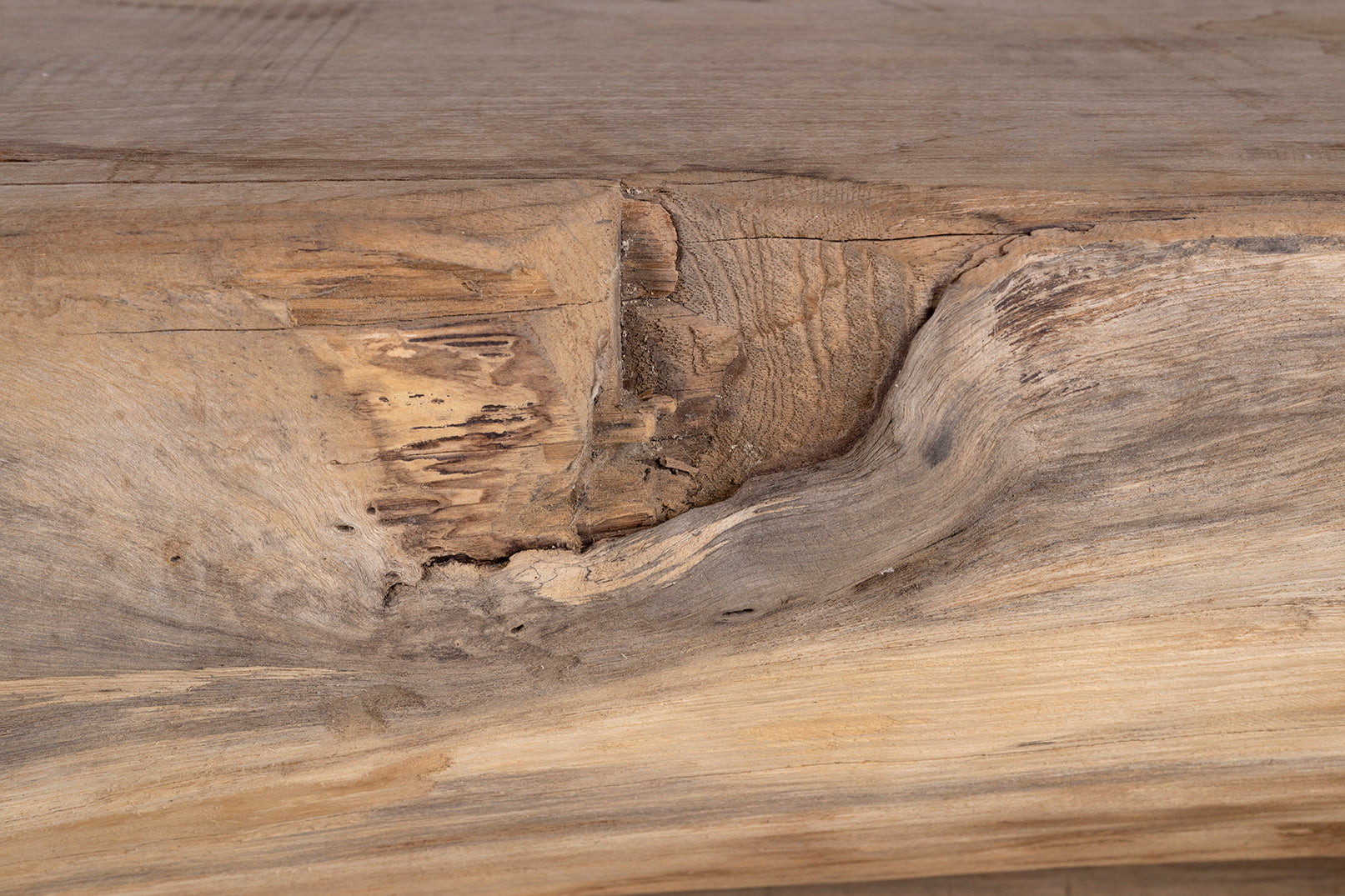 Organic Form Lychee Wood Trunk Bench