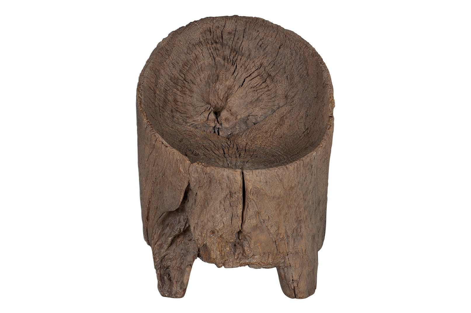 Organic Form Trunk Chair