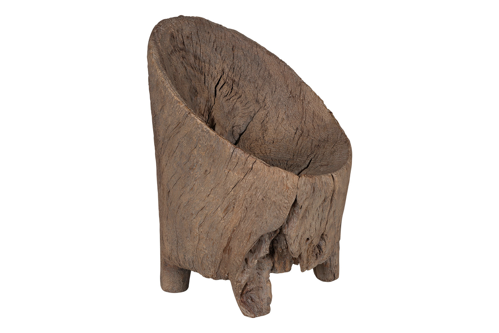 Organic Form Trunk Chair