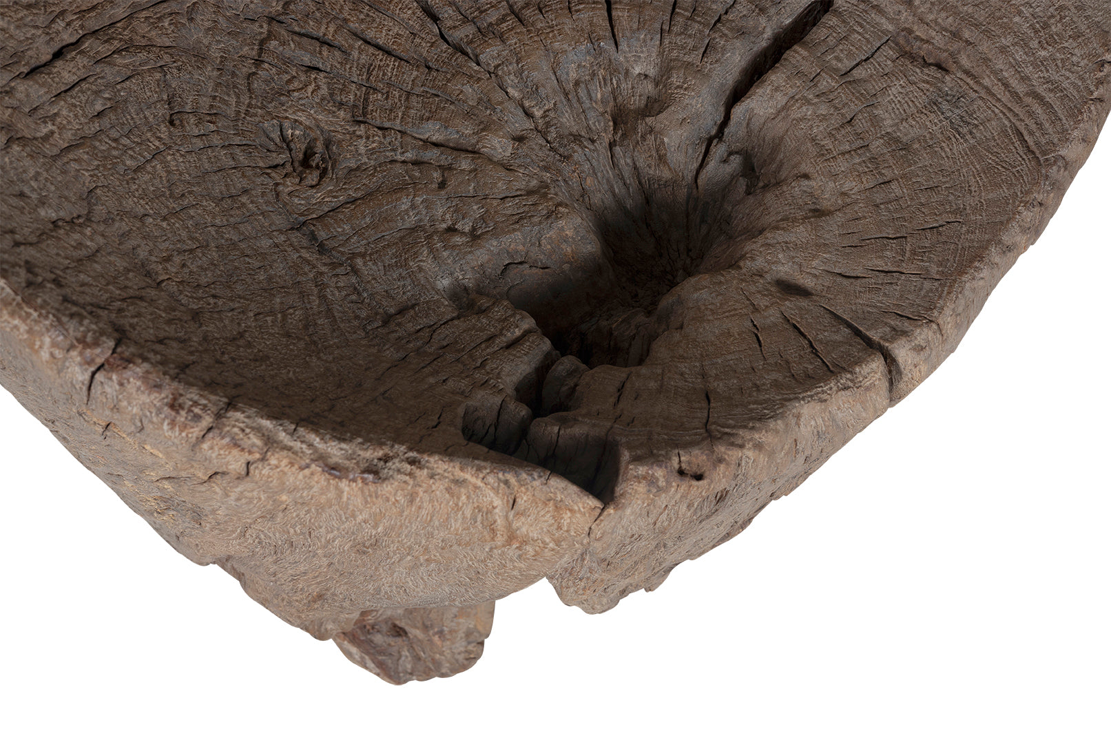 Organic Form Trunk Chair
