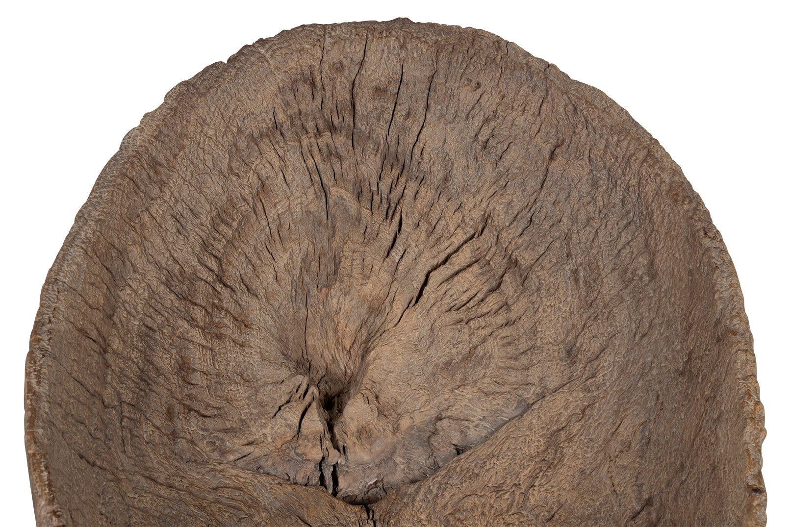 Organic Form Trunk Chair