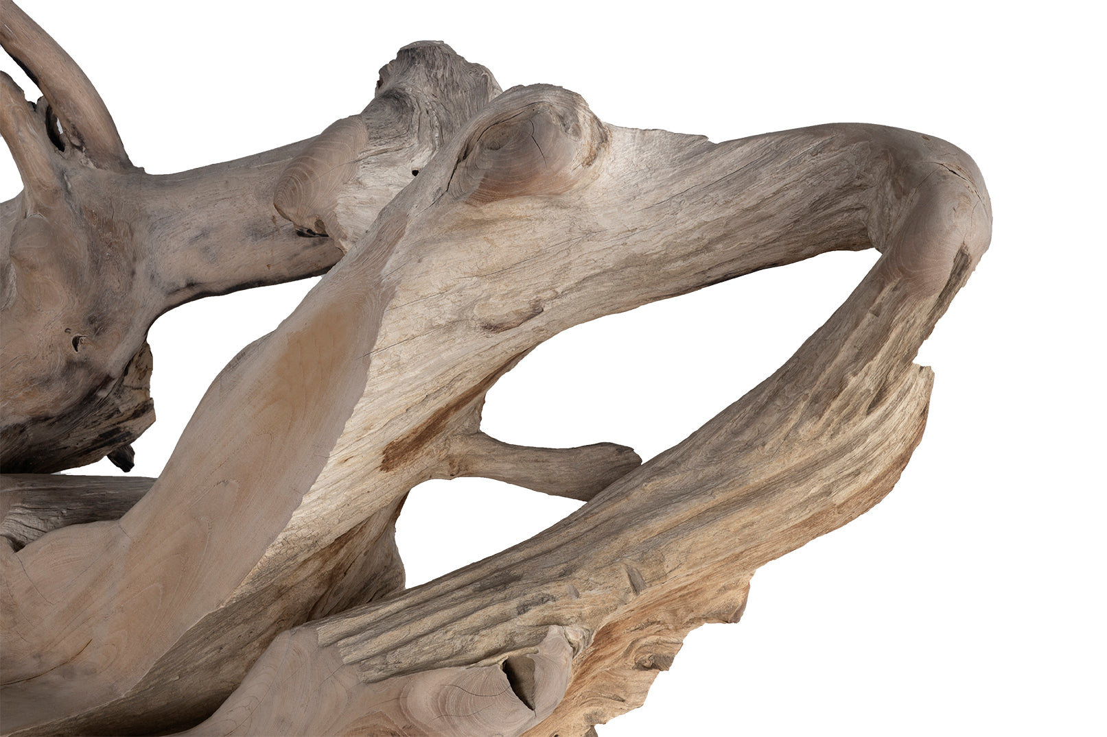 Monumental Teak Wood Outdoor Bench