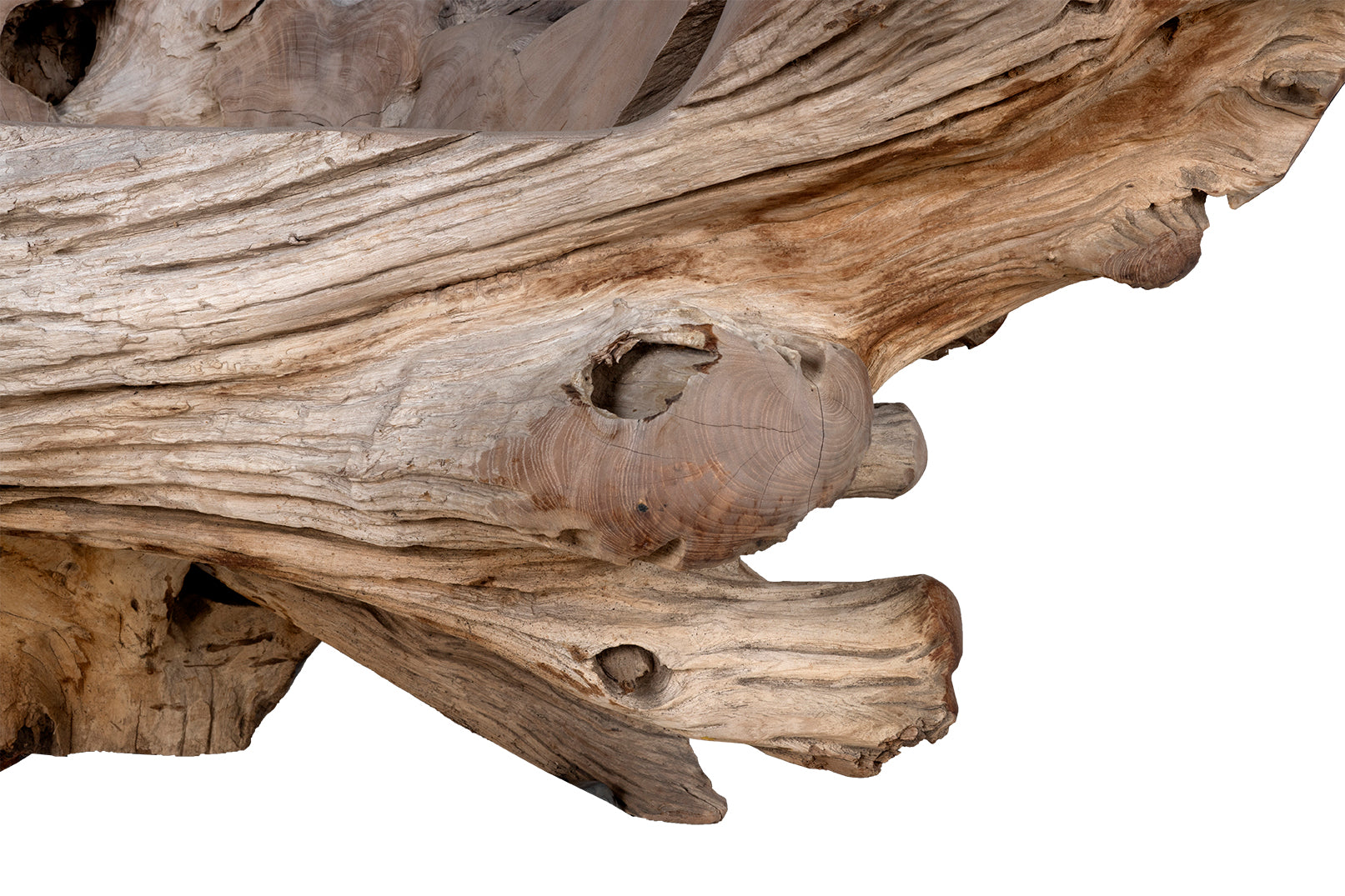 Monumental Teak Wood Outdoor Bench