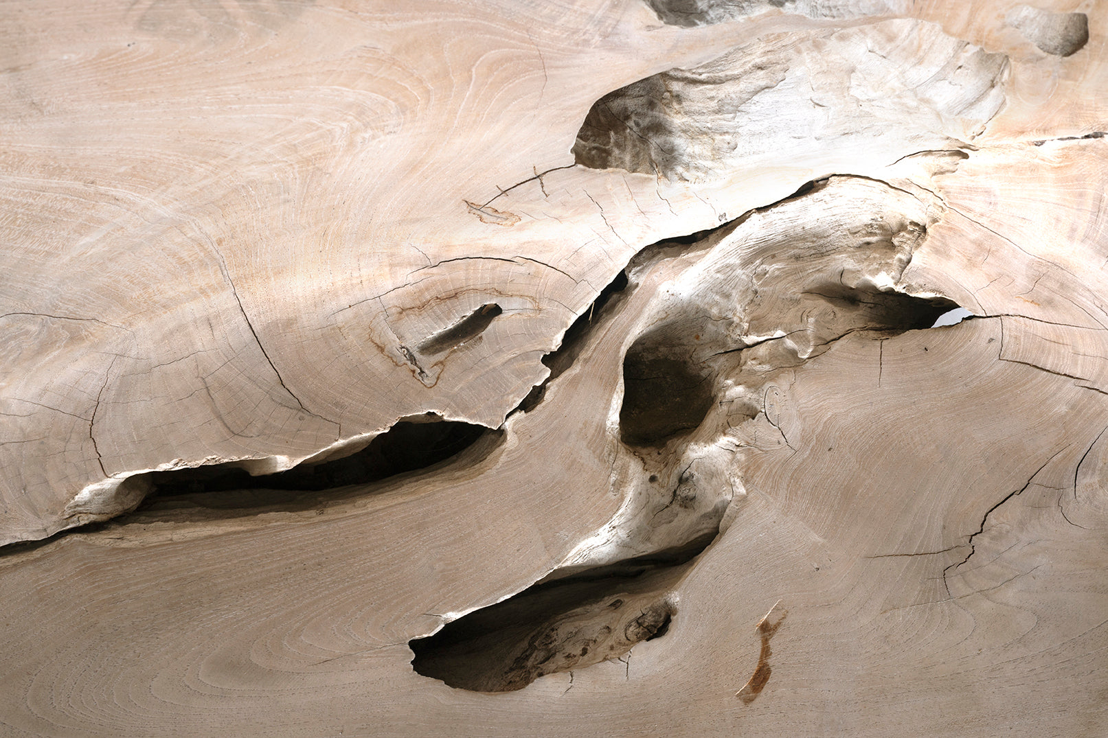 Monumental Teak Wood Outdoor Bench