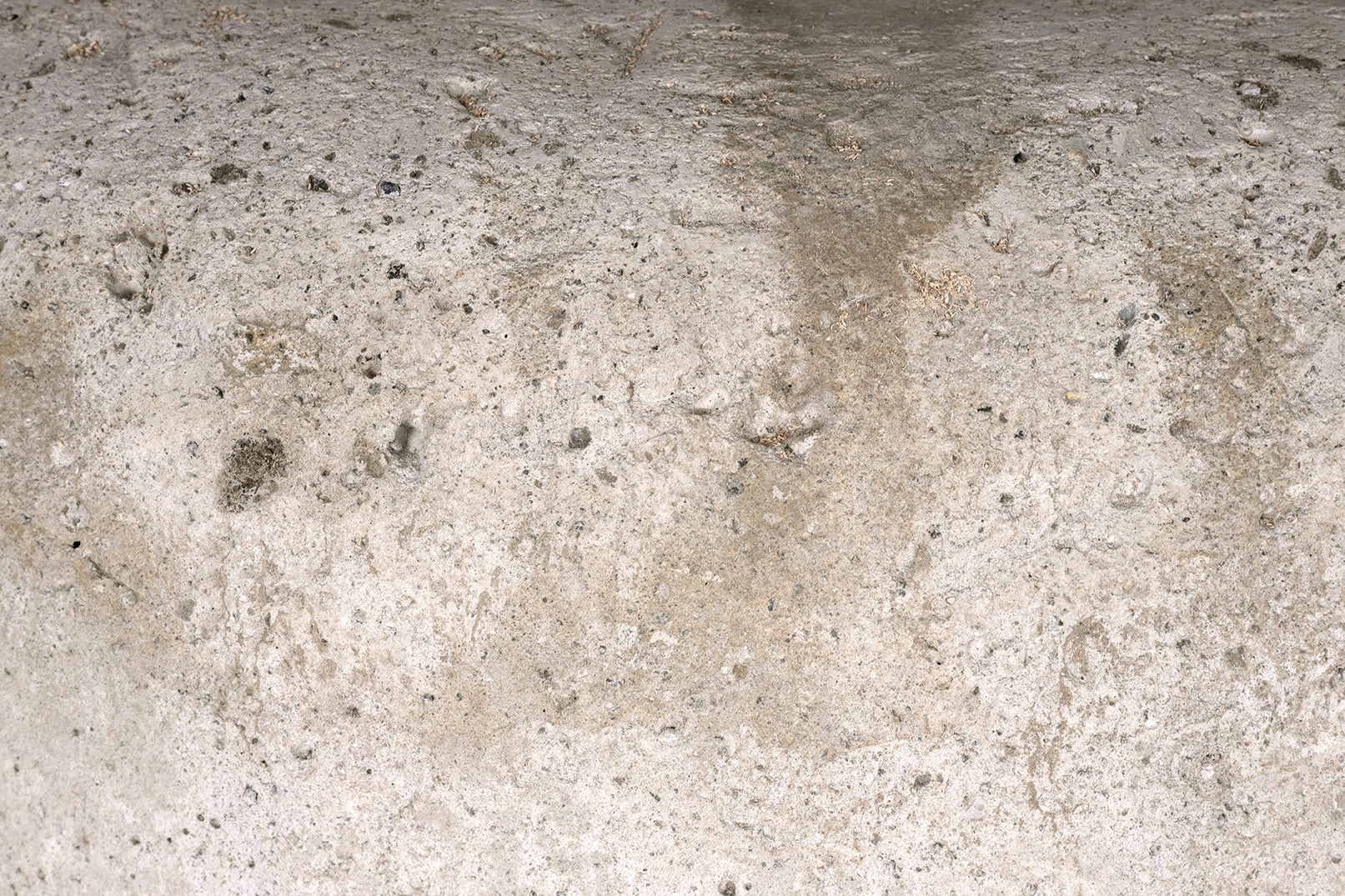 Monumental Cast Cement Planter