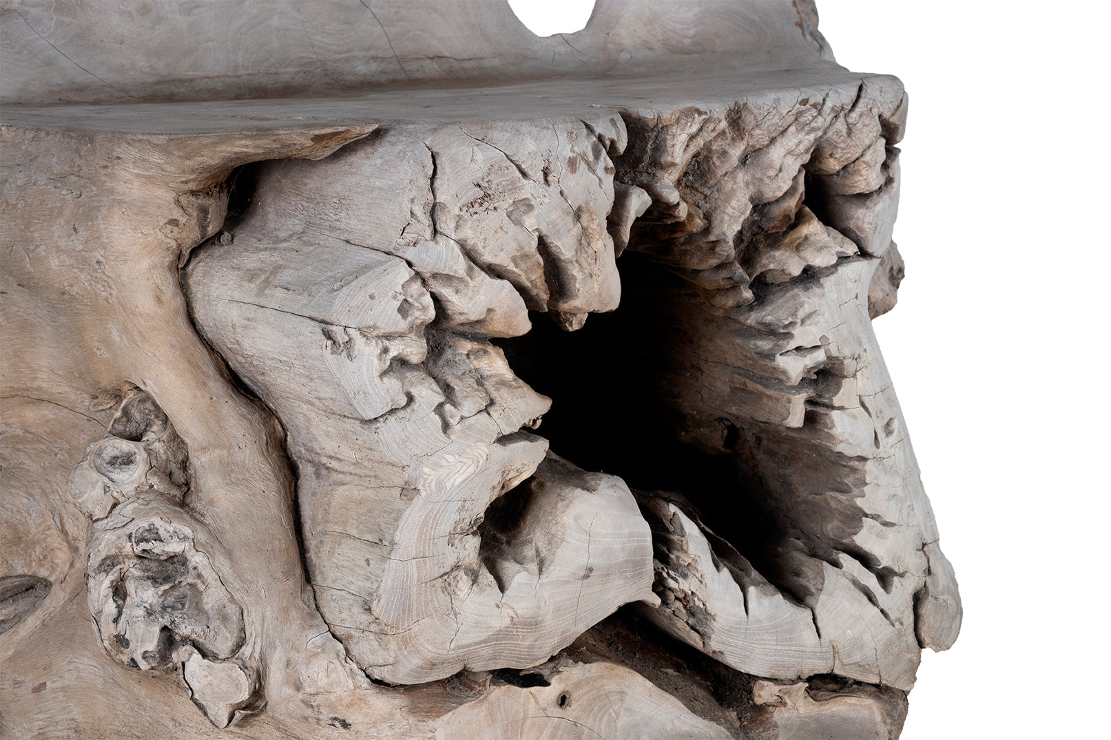 Organic Root Wood Form Outdoor Teak Chair