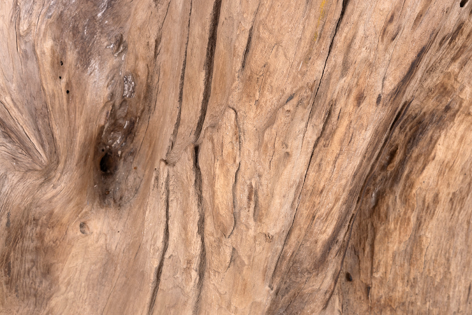 Organic Teak Root Wood Side Table