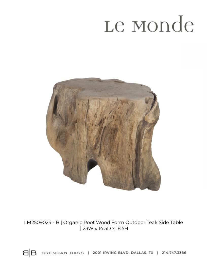 Organic Teak Root Wood Side Table