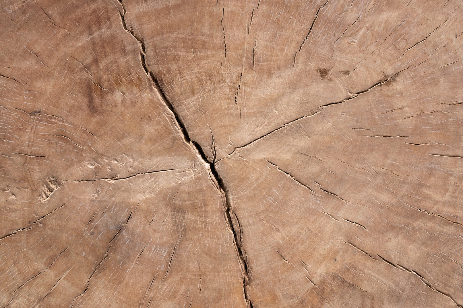 Organic Lychee Wood Block Side Table