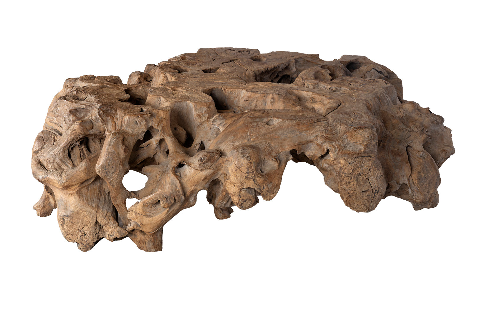 Monumental Organic Form Root Wood Coffee Table