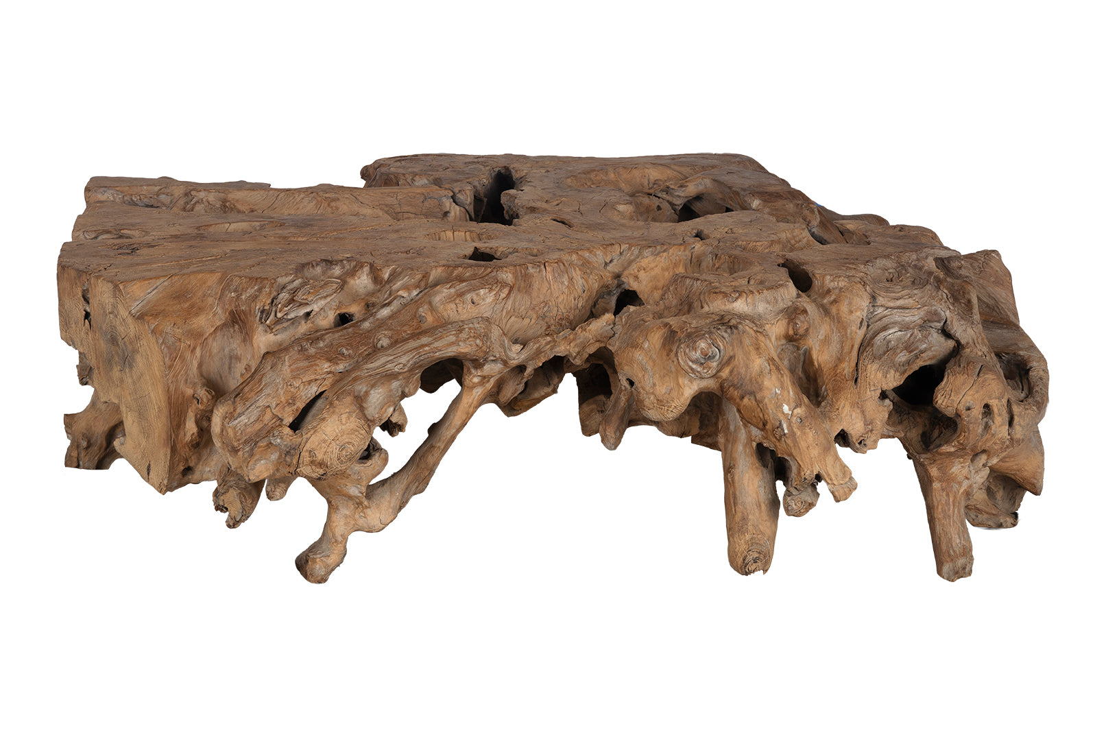 Monumental Organic Form Root Wood Coffee Table