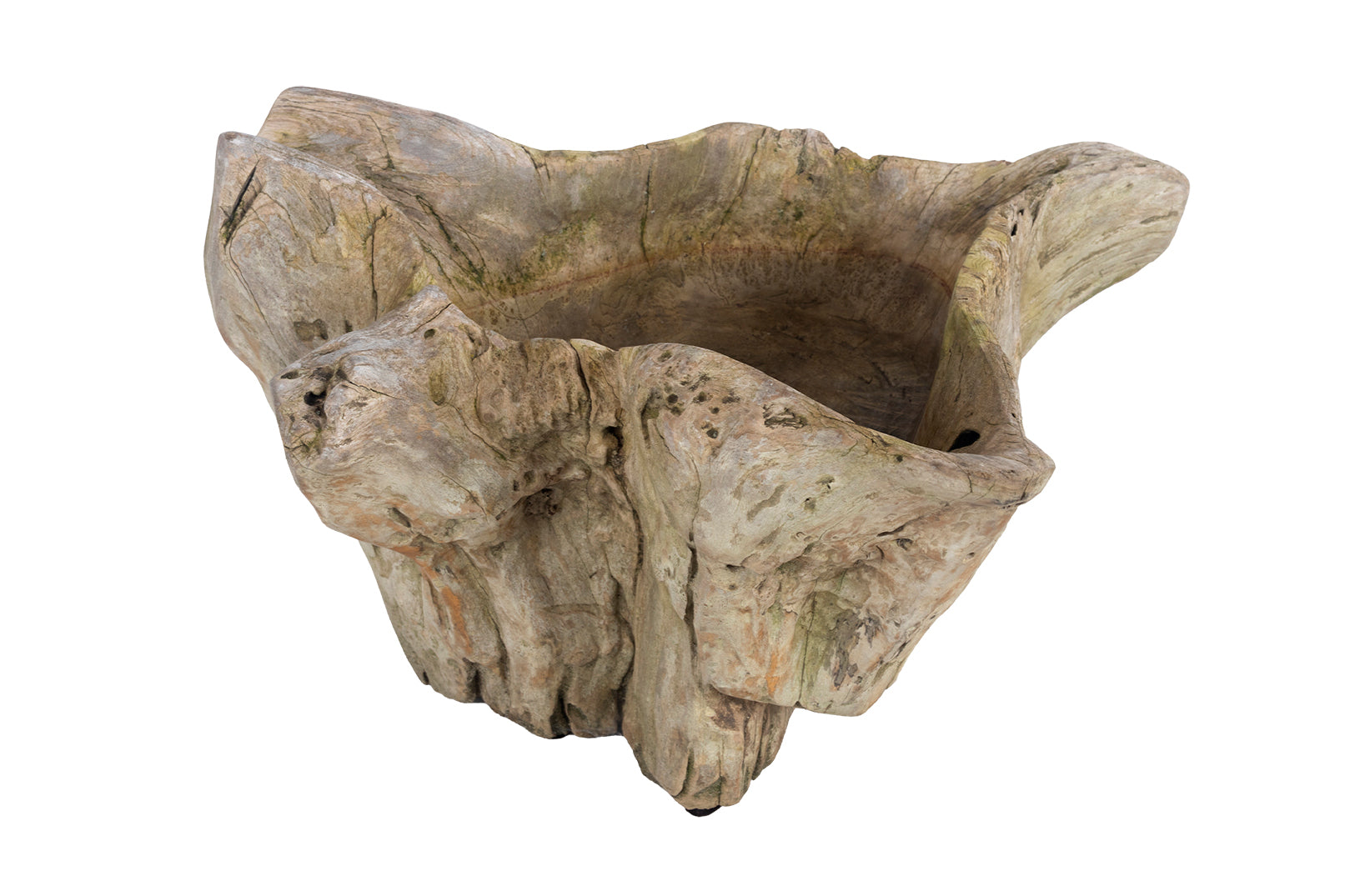 Organic Form Root Wood Bowl