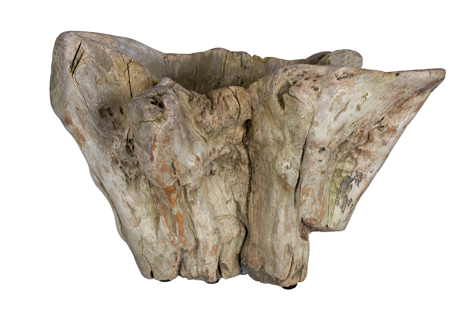 Organic Form Root Wood Bowl