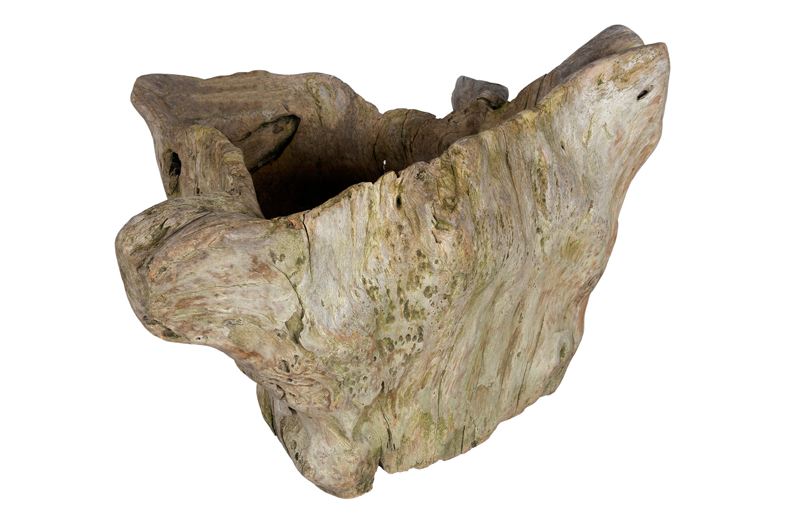 Organic Form Root Wood Bowl